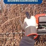 Hecke ausschneiden