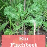 Flachbeet bauen