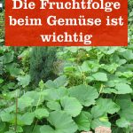 Fruchtfolge beim Gemüse