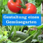 Gestaltung Gemüsegarten