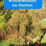 Winterschnitt im Garten