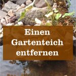 Gartenteich entfernen