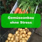 Gemüseanbau ohne Stress