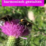 Garten harmonisch gestalten