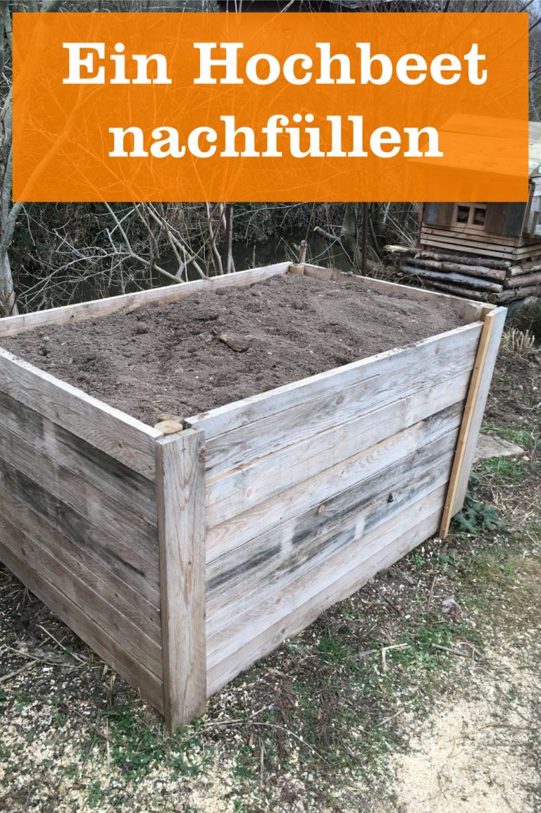 Ein Hochbeet nachfüllen GartenBob der Garten Ratgeber