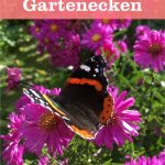 naturnahe Gartenecken