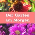 Garten am Morgen