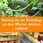 Gemüseanbau im Frühling