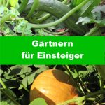 Gärtnern für Einsteiger