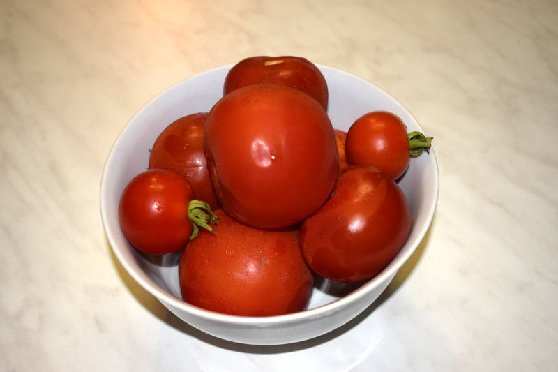 Tomaten Pflanzbehältern Blätter trocknen ab