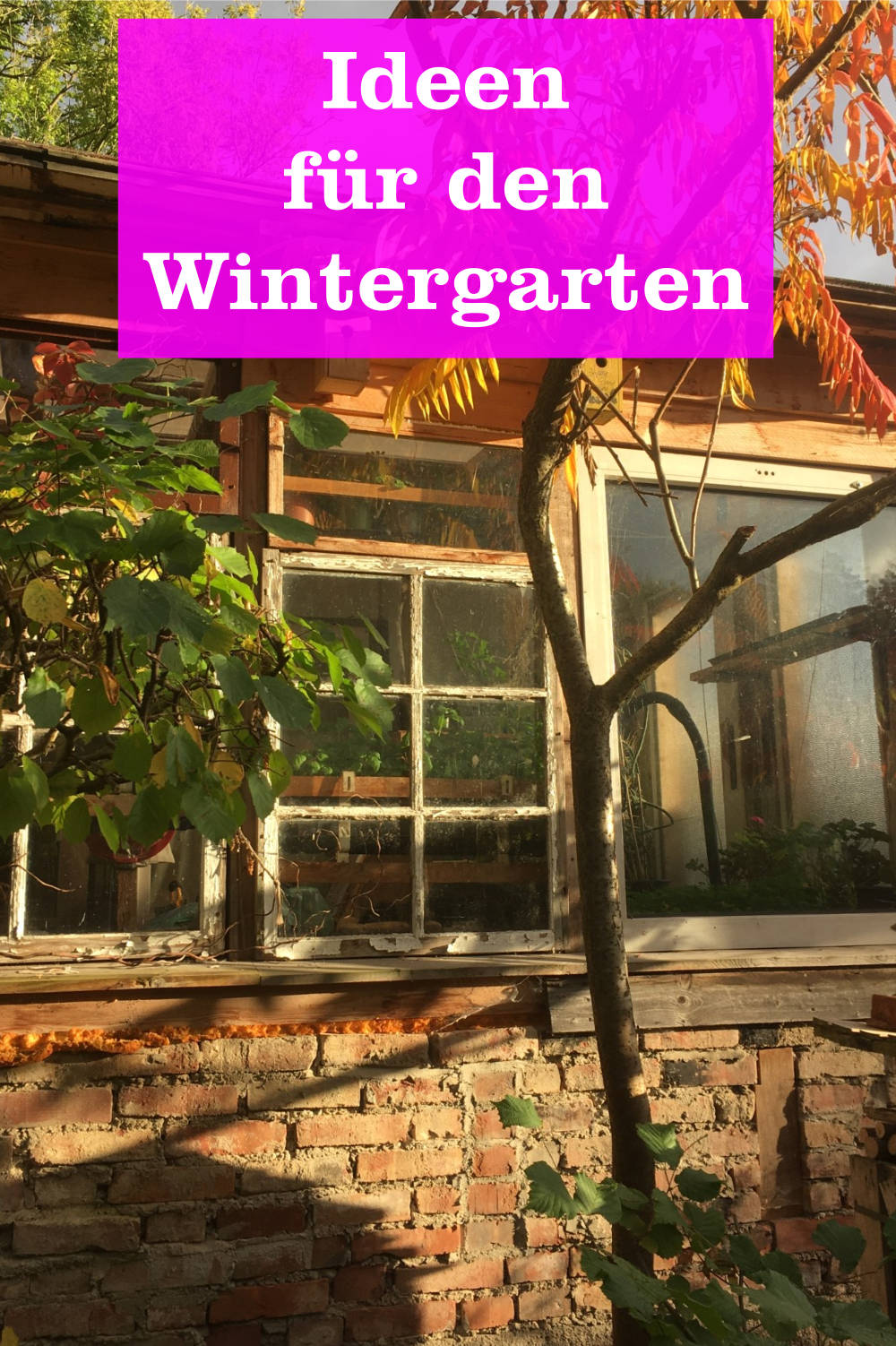 Ideen für Wintergarten