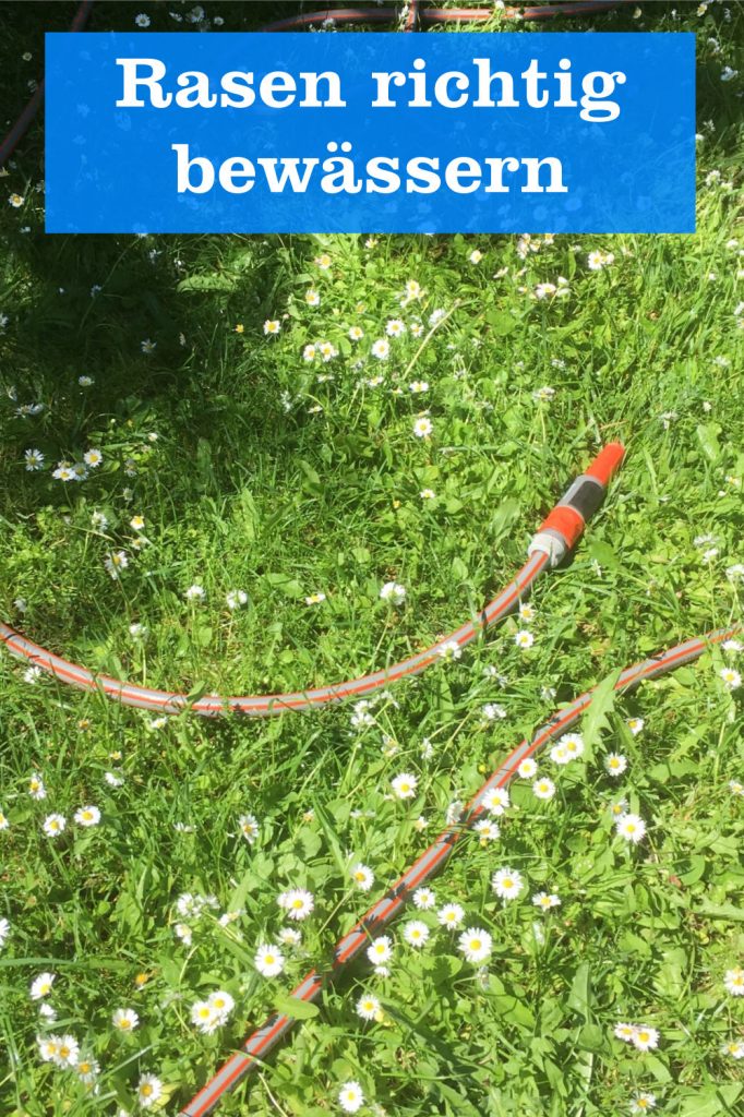 Rasen Bewassern Gartenbob De Der Garten Ratgeber