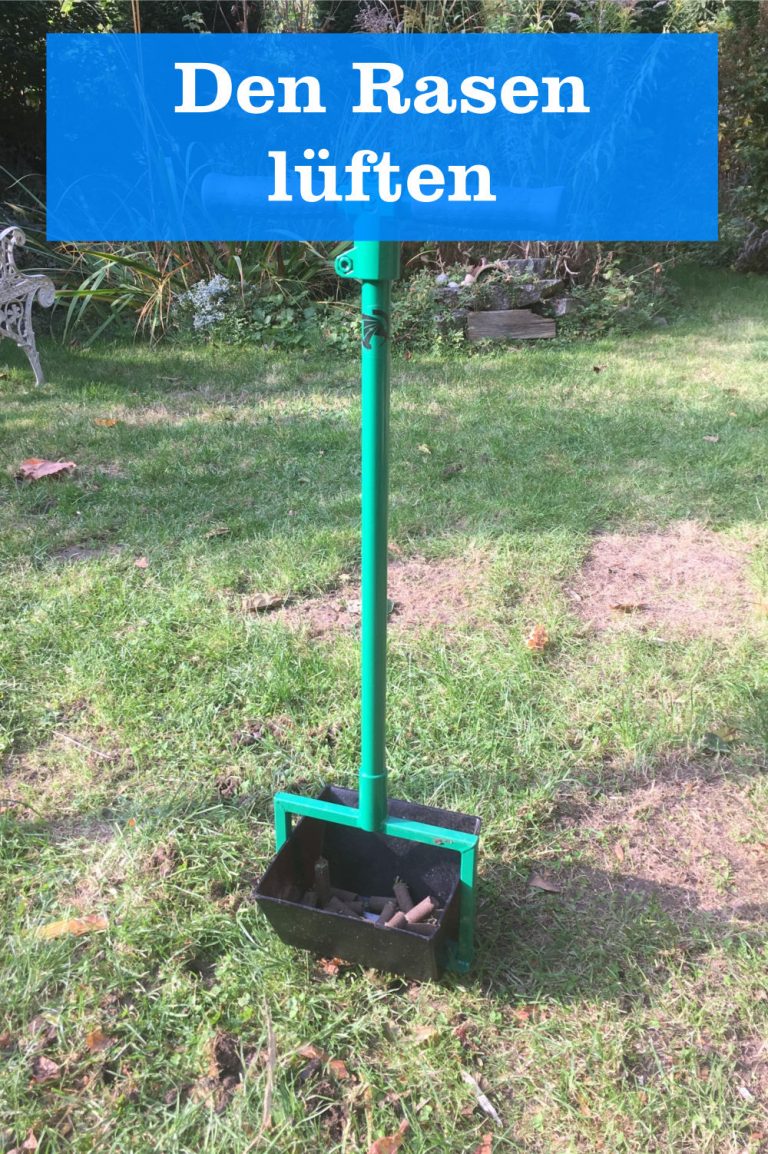 Rasen Lüften GartenBob der Garten Ratgeber
