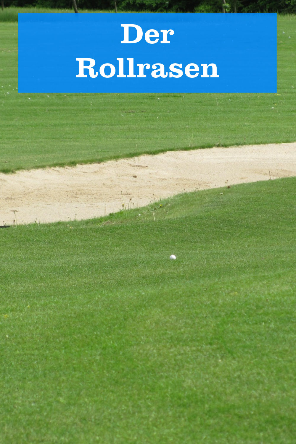 Rollrasen » GartenBob.de der Garten Ratgeber