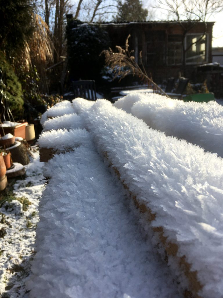 Winter im Garten mit Schnee